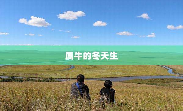 属牛的冬天生