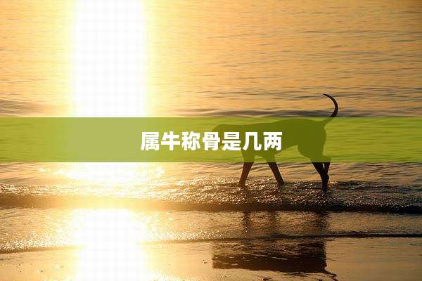 属牛称骨是几两