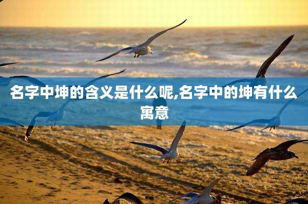 名字中坤的含义是什么呢,名字中的坤有什么寓意