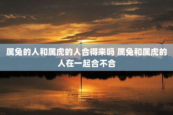 属兔的人和属虎的人合得来吗 属兔和属虎的人在一起合不合