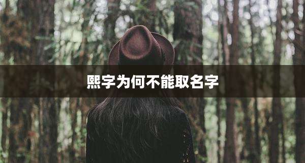 熙字为何不能取名字