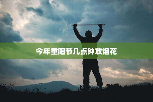 今年重阳节几点钟放烟花