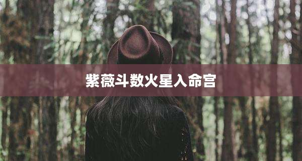 紫薇斗数火星入命宫