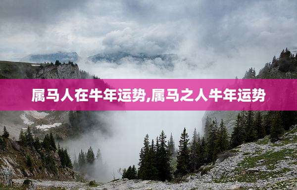 属马人在牛年运势,属马之人牛年运势