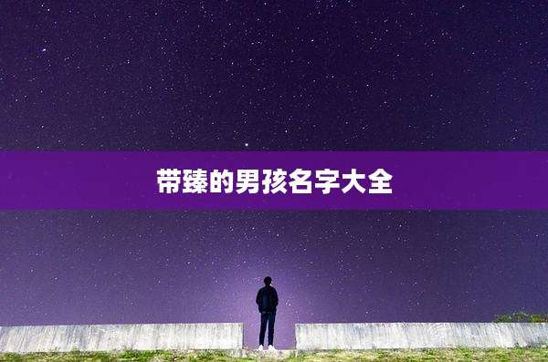 带臻的男孩名字大全