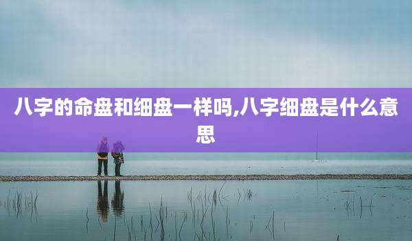 八字的命盘和细盘一样吗,八字细盘是什么意思