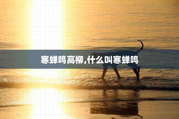 寒蝉鸣高柳,什么叫寒蝉鸣