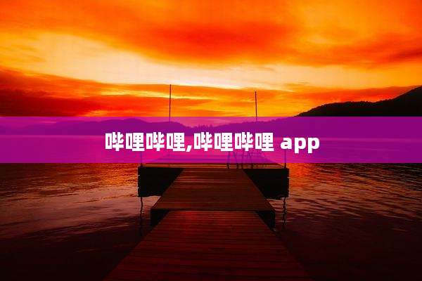 哔哩哔哩,哔哩哔哩 app