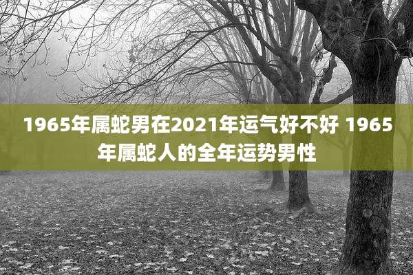 1965年属蛇男在2021年运气好不好 1965年属蛇人的全年运势男性