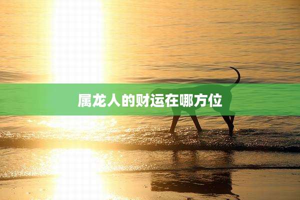 属龙人的财运在哪方位