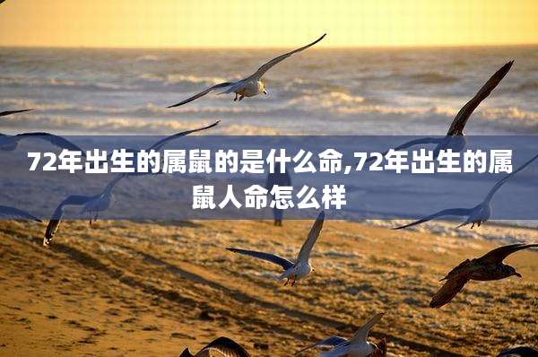72年出生的属鼠的是什么命,72年出生的属鼠人命怎么样