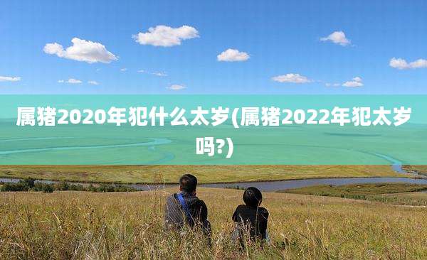 属猪2020年犯什么太岁(属猪2022年犯太岁吗?)