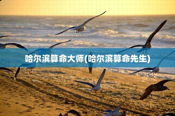 哈尔滨算命大师(哈尔滨算命先生)