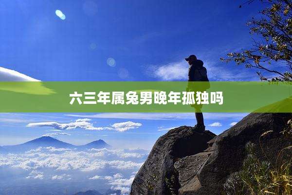 六三年属兔男晚年孤独吗