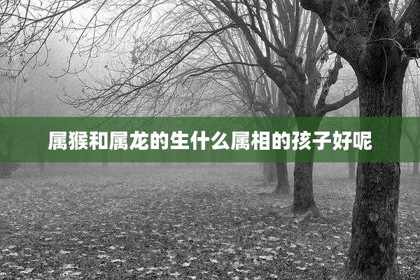 属猴和属龙的生什么属相的孩子好呢
