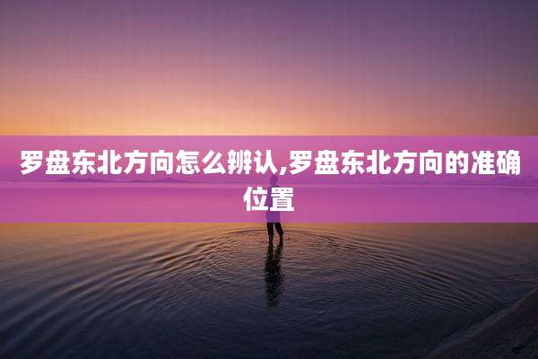 罗盘东北方向怎么辨认,罗盘东北方向的准确位置