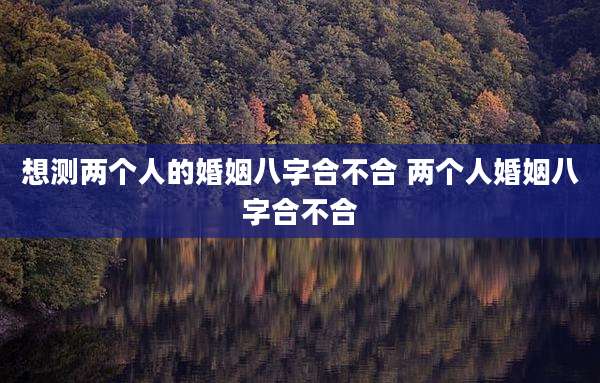 想测两个人的婚姻八字合不合 两个人婚姻八字合不合