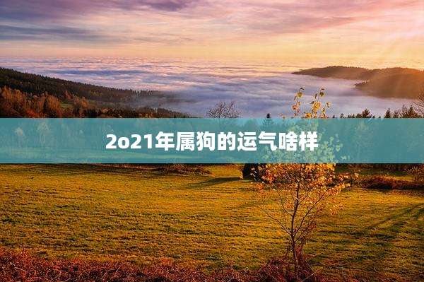 2o21年属狗的运气啥样