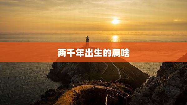 两千年出生的属啥