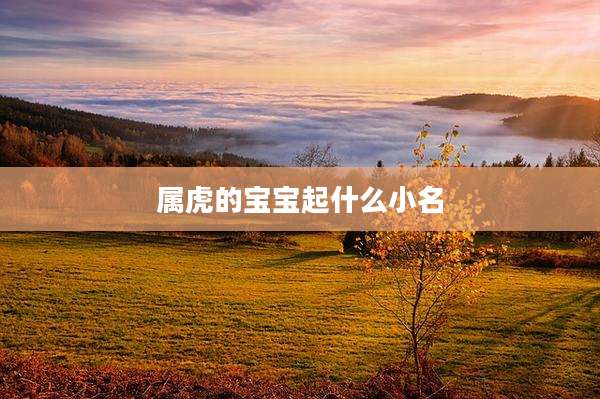 属虎的宝宝起什么小名