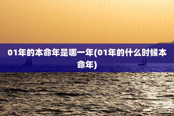 01年的本命年是哪一年(01年的什么时候本命年)