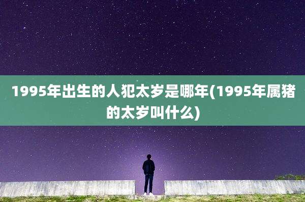 1995年出生的人犯太岁是哪年(1995年属猪的太岁叫什么)