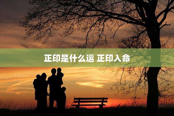 正印是什么运 正印入命