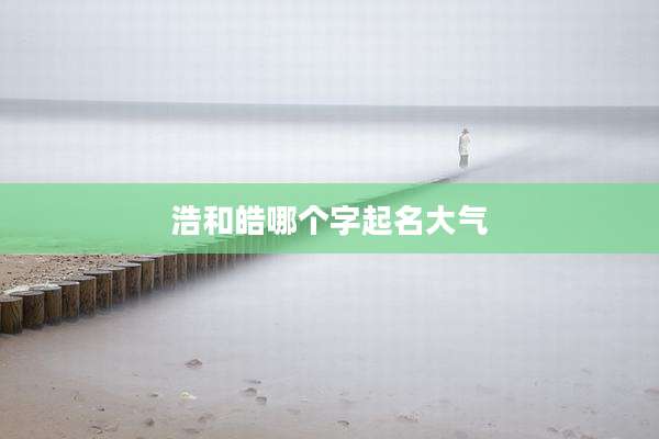 浩和皓哪个字起名大气