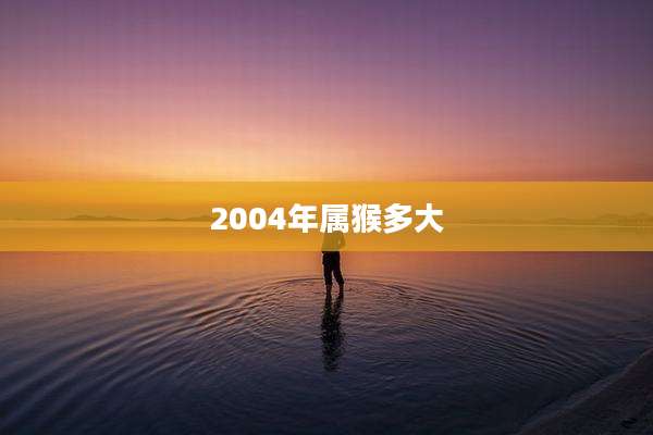 2004年属猴多大