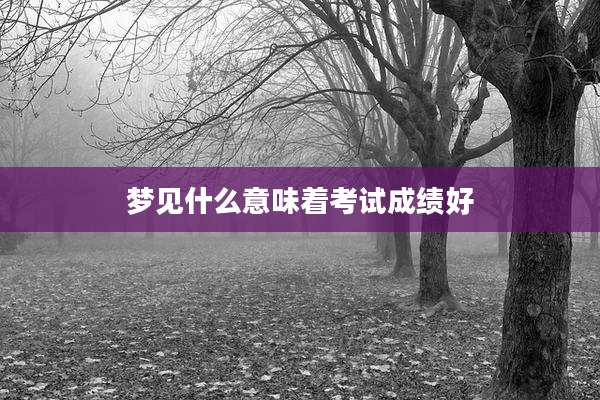 梦见什么意味着考试成绩好