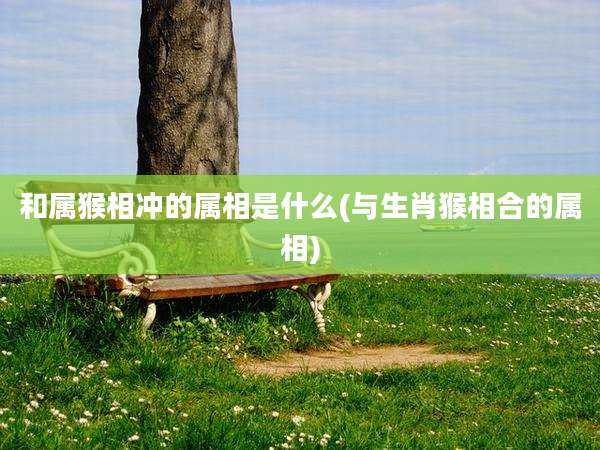 和属猴相冲的属相是什么(与生肖猴相合的属相)