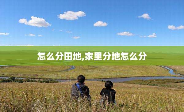 怎么分田地,家里分地怎么分