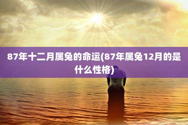 87年十二月属兔的命运(87年属兔12月的是什么性格)
