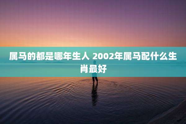 属马的都是哪年生人 2002年属马配什么生肖最好