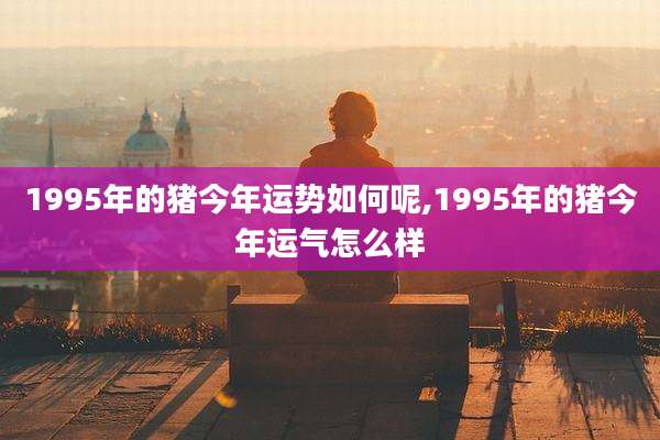 1995年的猪今年运势如何呢,1995年的猪今年运气怎么样
