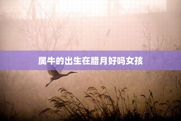 属牛的出生在腊月好吗女孩