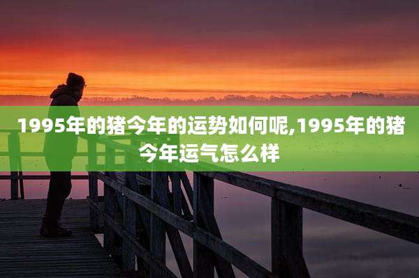 1995年的猪今年的运势如何呢,1995年的猪今年运气怎么样