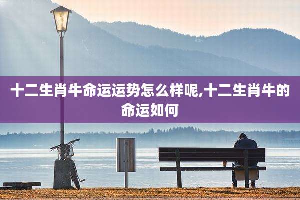 十二生肖牛命运运势怎么样呢,十二生肖牛的命运如何