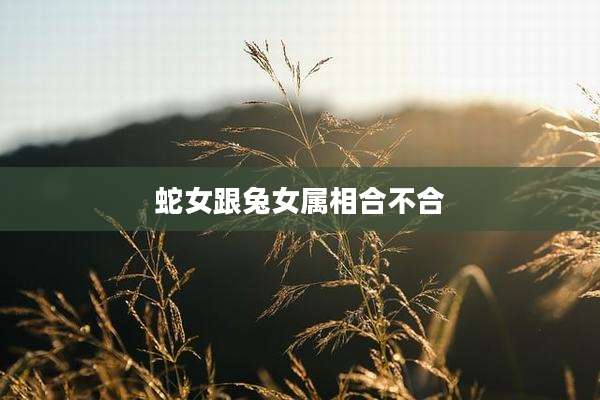 蛇女跟兔女属相合不合