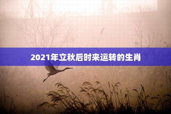 2021年立秋后时来运转的生肖