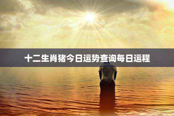 十二生肖猪今日运势查询每日运程