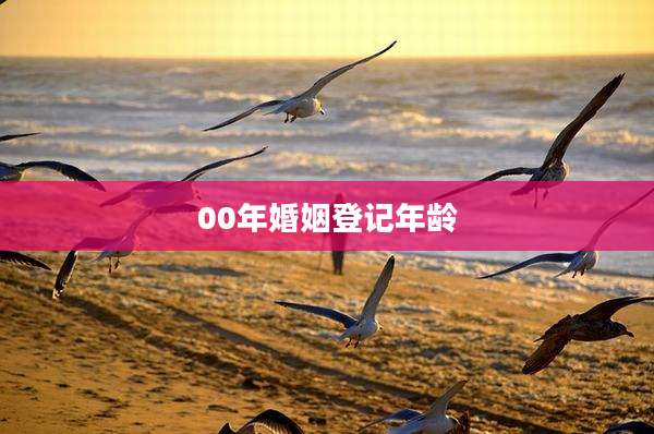 00年婚姻登记年龄