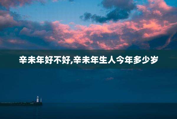 辛未年好不好,辛未年生人今年多少岁