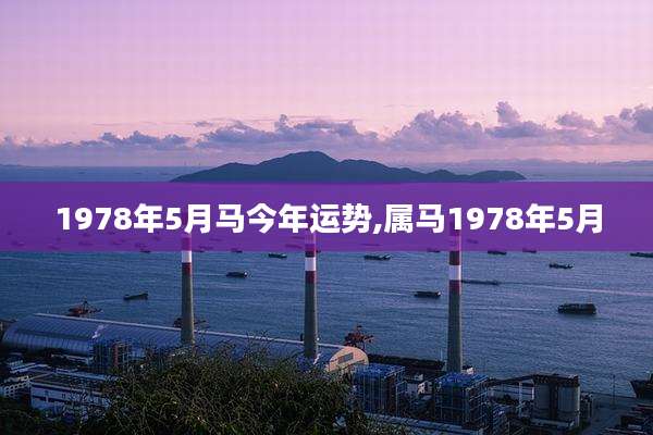 1978年5月马今年运势,属马1978年5月