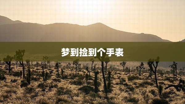 梦到捡到个手表