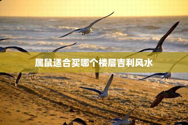 属鼠适合买哪个楼层吉利风水
