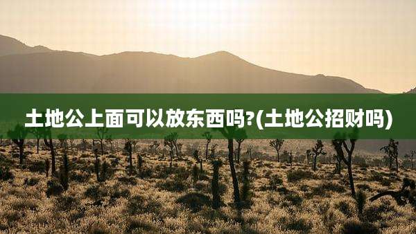 土地公上面可以放东西吗?(土地公招财吗)