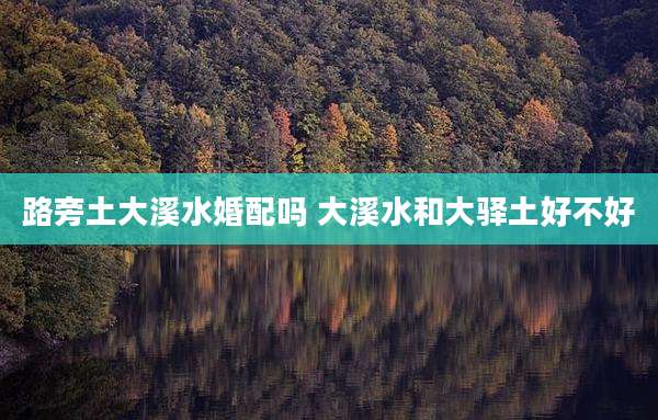 路旁土大溪水婚配吗 大溪水和大驿土好不好