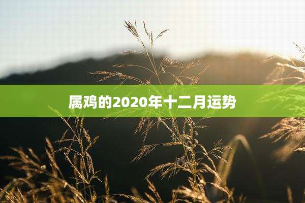 属鸡的2020年十二月运势