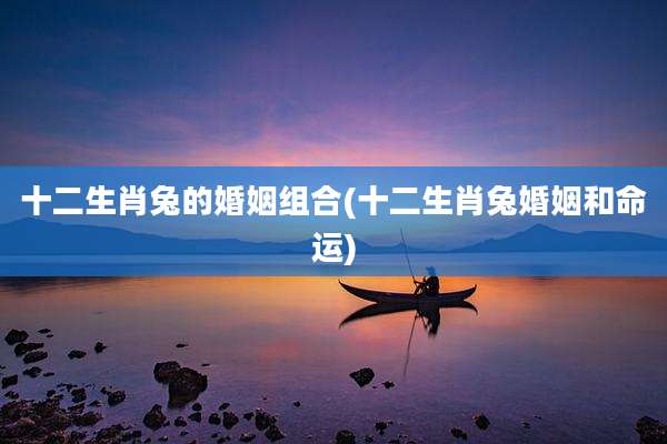 十二生肖兔的婚姻组合(十二生肖兔婚姻和命运)